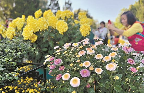 第十屆黃花文化節(jié)開幕