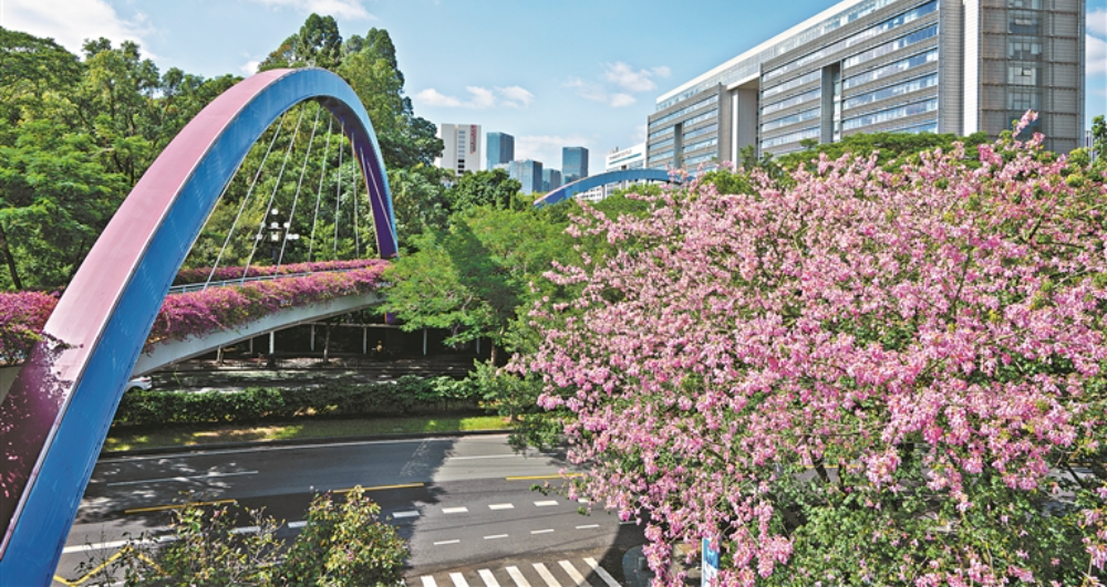 3條“黃埔云道”近期開放